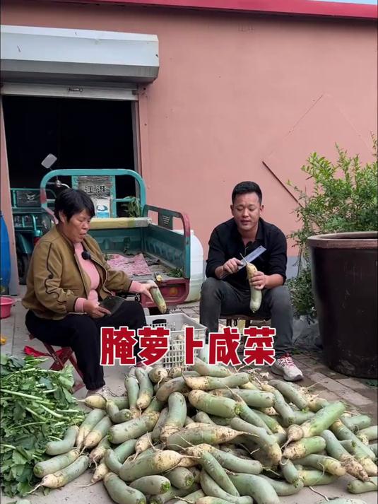 又到腌咸菜滴时候了，这样腌出来的萝卜又脆又绿，你们可以试一下