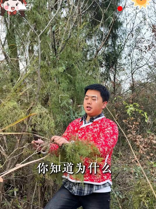 好的腊肉就是要这种晶莹剔透的看的见纹路的农家烟熏腊肉#农家烟熏腊肉##年货节#