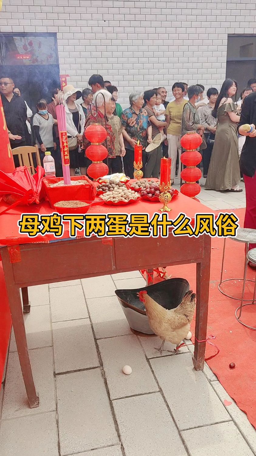 母鸡下两蛋是什么风俗