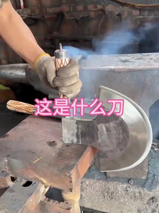 这刀用来砍肉应该很不错吧