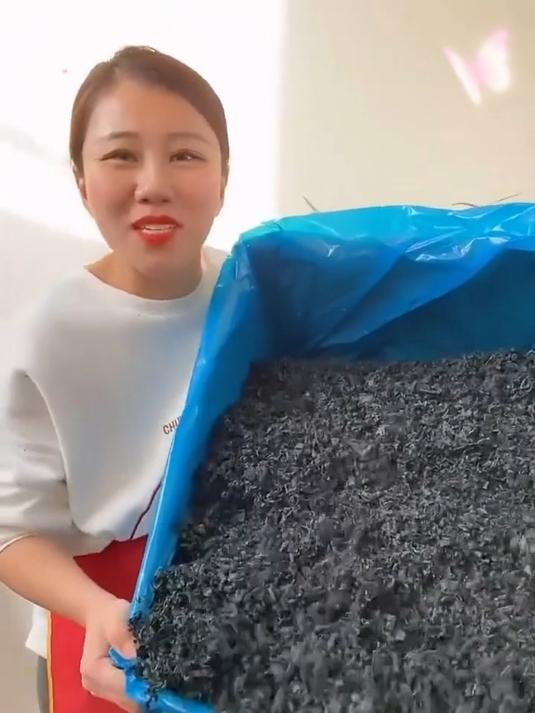 没见过地皮菜?来尝尝这大自然的馈赠!