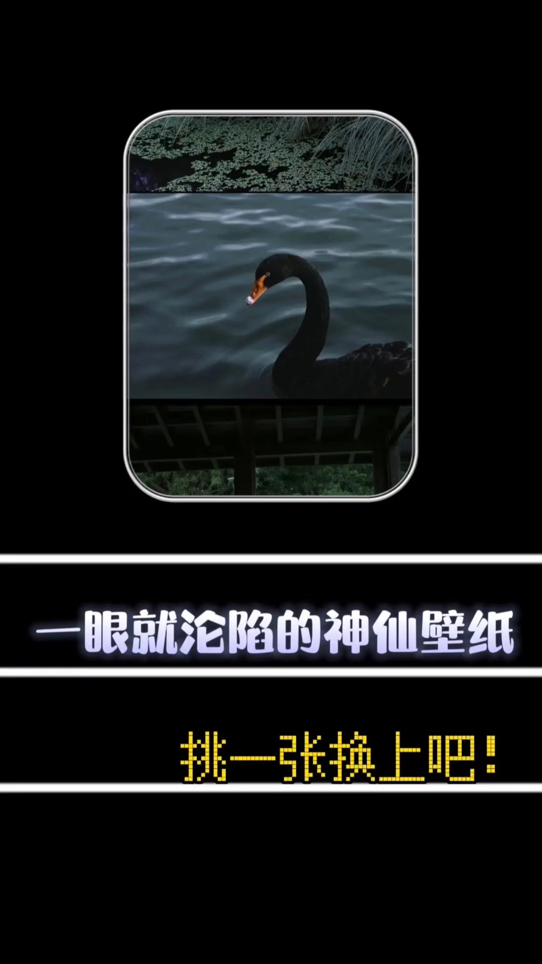 手机全屏壁纸