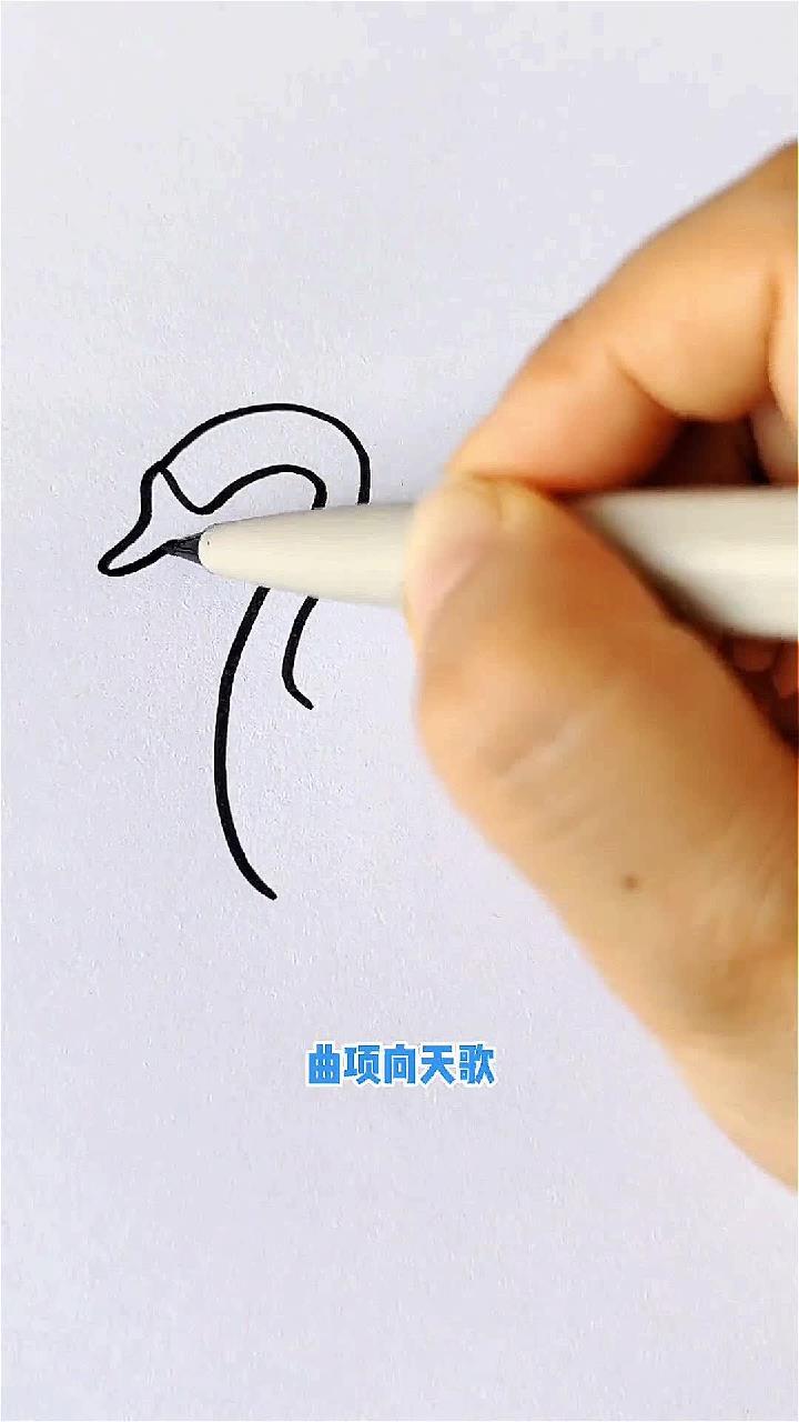 鹅育儿简笔画 简笔画
