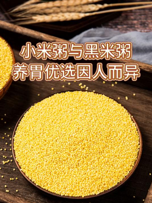 我们都听过,喝粥可以养胃,但小米粥与黑米粥,你更适合哪个?