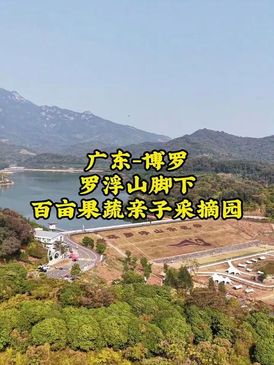 大洞水库旁边种植,有福田菜心,圣女果,草莓采摘