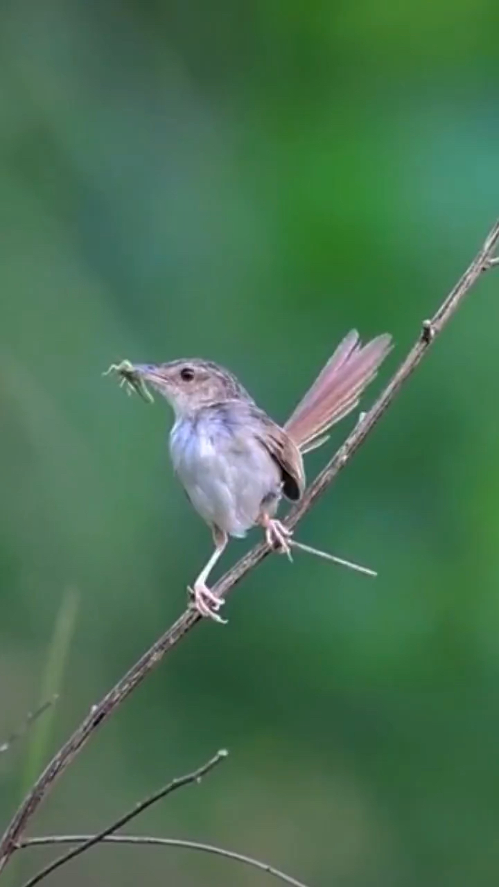 我知山高任你飞,太多付出也无意,所以从此山水一程,再无相逢。