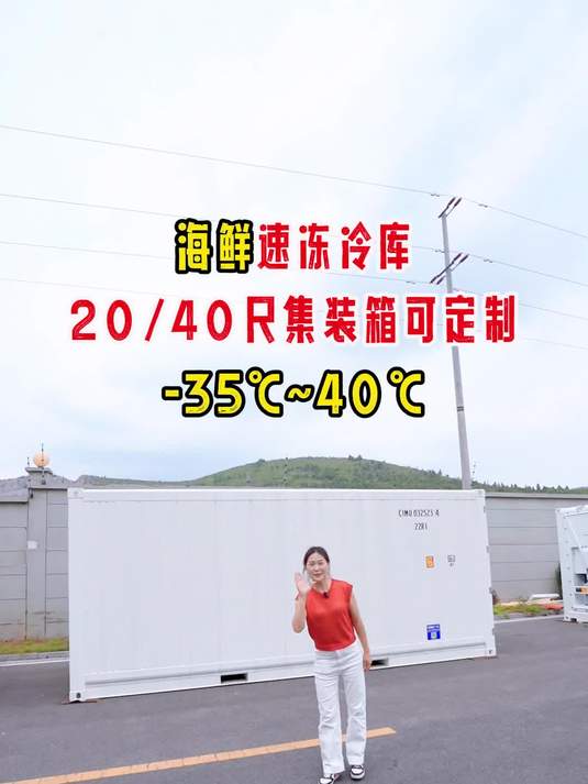 集装箱冷库移动灵活,-18度冷冻保鲜任意调节