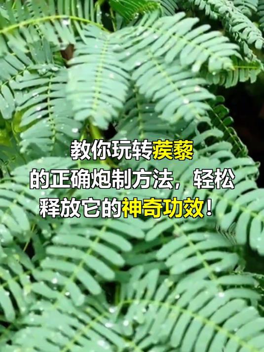 蒺藜的炮制方法及功效
