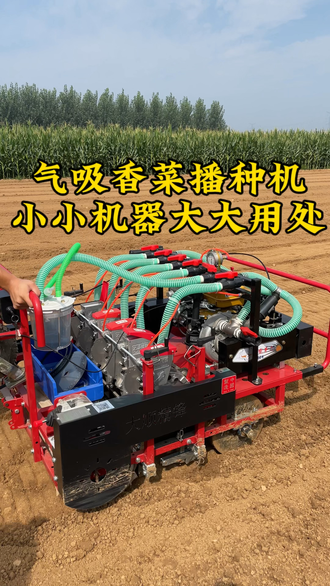 大顺气吸香菜播种机