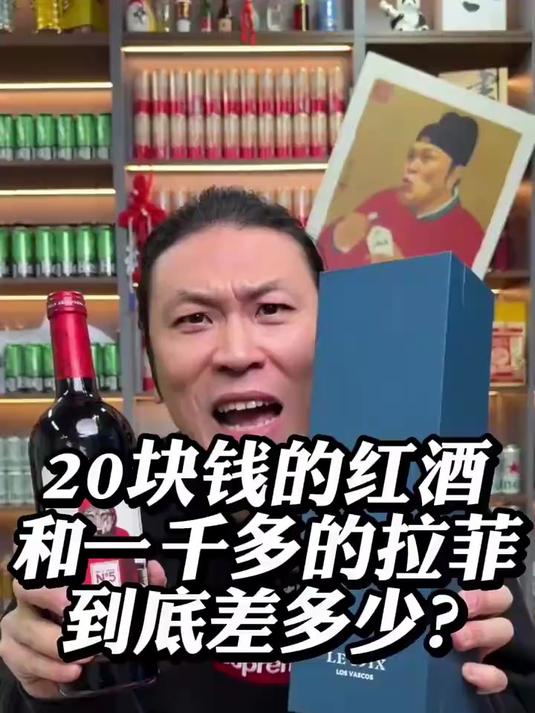 20块钱的红酒和一千多的拉菲到底差多少？酒 红酒 拉菲！