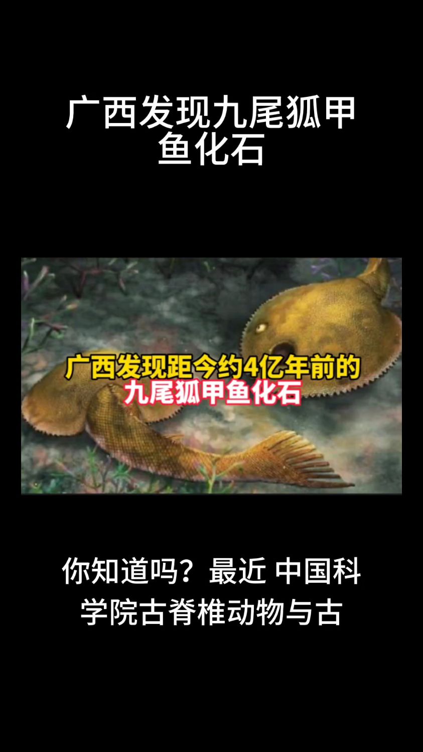 广西发现九尾狐甲鱼化石