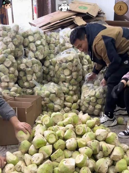 芥菜疙瘩又叫辣疙瘩腌制做咸菜少不了喜欢的都给大家准备好了！