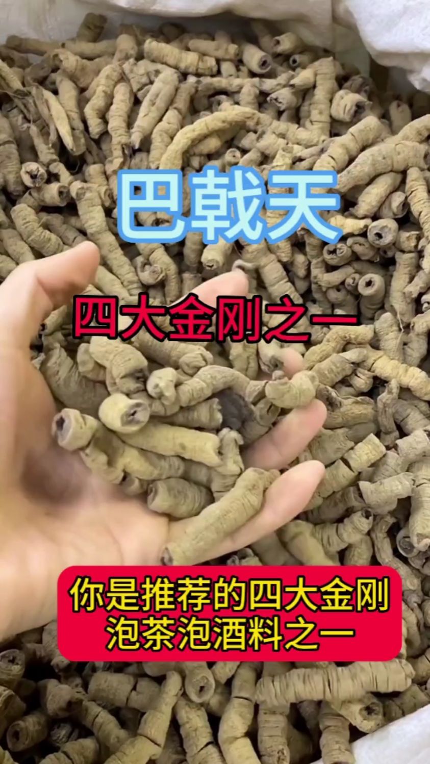 每天认识一味中草药——巴戟天