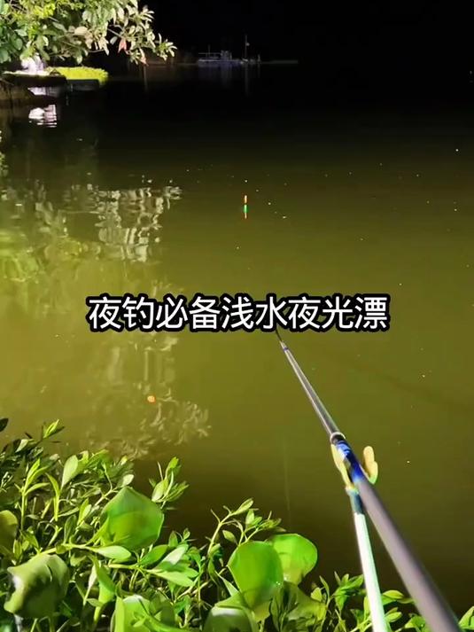 浅水夜光漂醒目灵敏度轻口滑口底钓草洞小短浮漂鲫鱼变色电子鱼漂