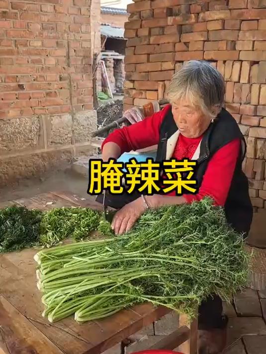 奶奶用老方法腌的辣菜特别脆，腌的时间越长越好吃放一年也不会坏
