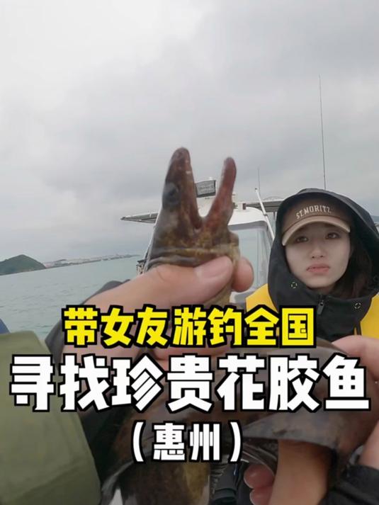 据说最近广东海域出现珍贵花胶鱼