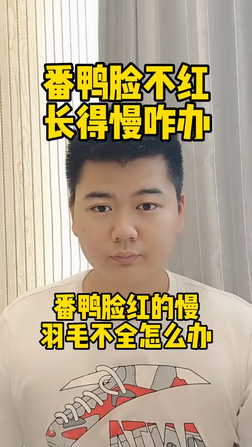 #白羽番鸭脸不红怎么办番鸭红脸不红脸有啥区别番鸭公怎么变红脸番鸭养多长时间才红脸