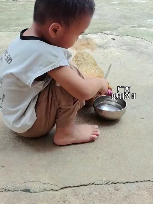 爸爸教儿子如何去杀鸡,结果儿子拿刀在鸡脖子上磨了半天