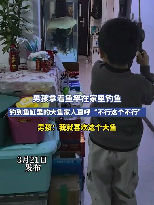 男孩拿着鱼竿在家里钓鱼,钓到鱼缸里的大鱼家人直呼“不行这个不行”