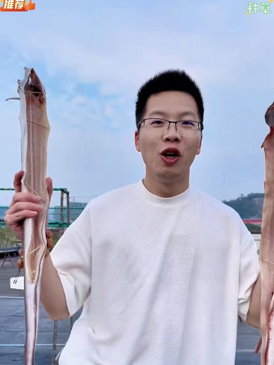 自然风干鳗鱼干,肉质绵密,家常烹煮鲜味儿足