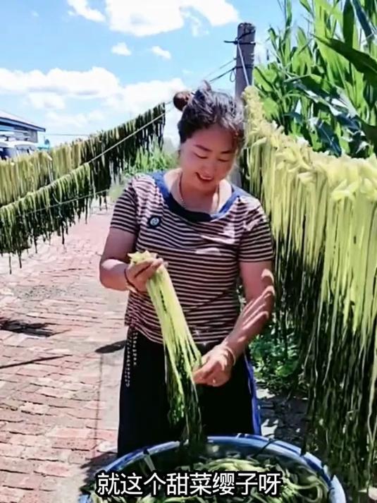 甜菜英子新吃法