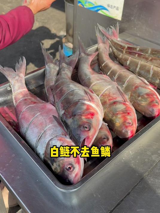 江苏富安鱼汤面，不去鱼鳞导成渣，7元一碗！