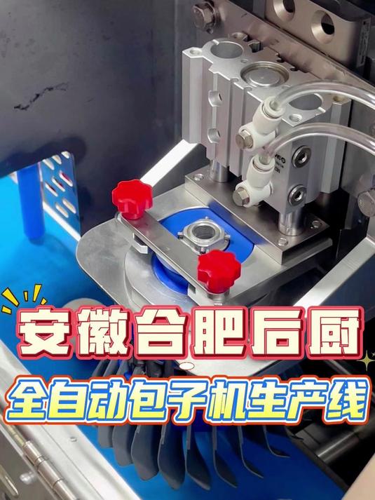 安徽合肥地区安装包子机现场,自动成型、自动摆盘,一个人操作