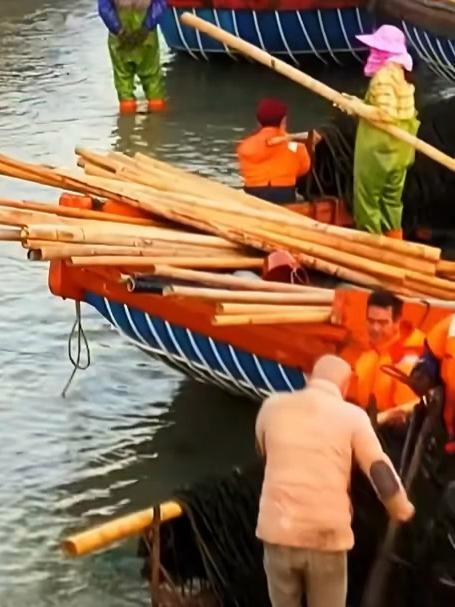 霞浦头水紫菜无沙无泥特别的干净