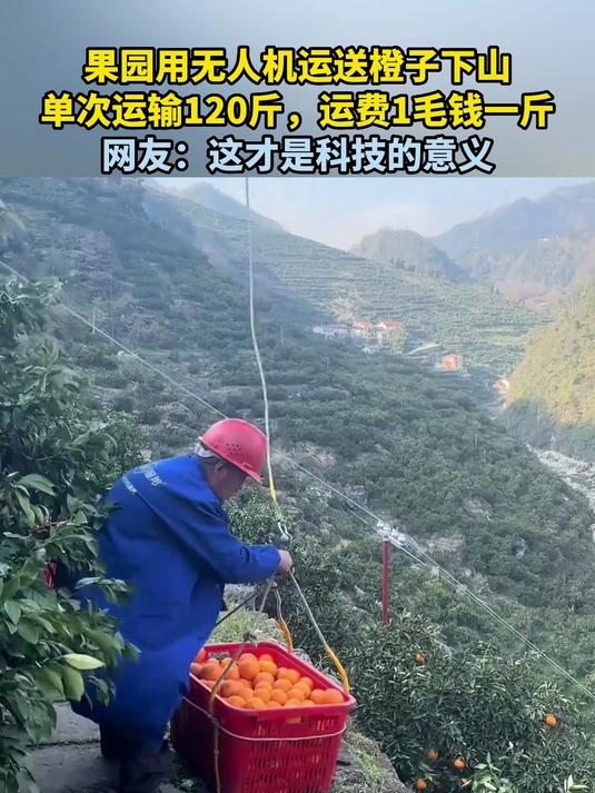 果园用无人机运送橙子下山,单次运输120斤,运费1毛钱一斤