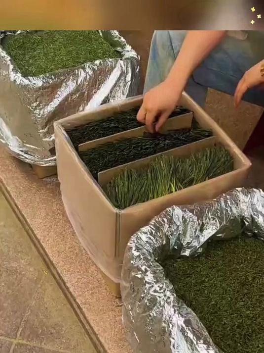 太平猴魁茶叶，独特 “猴韵”，一口爱上的好茶