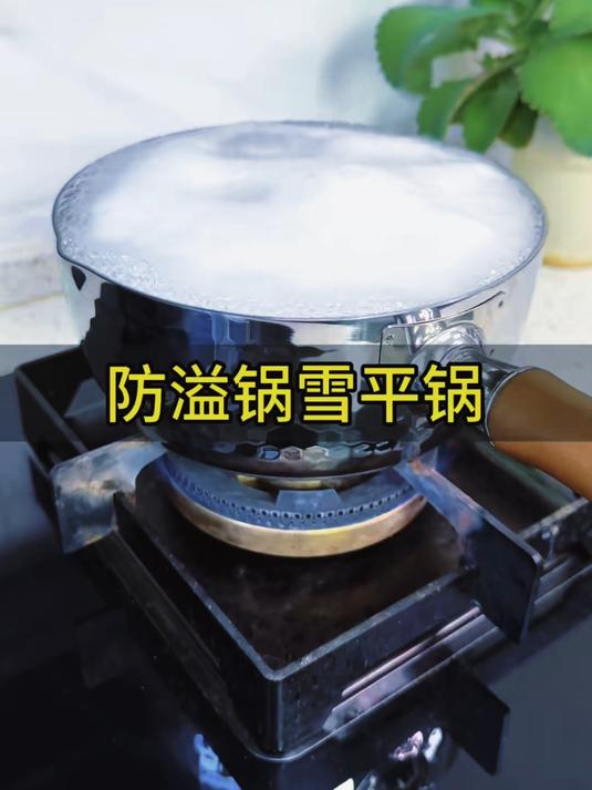 三层加厚不锈钢雪平锅带蒸屉这个价,真的太合适了