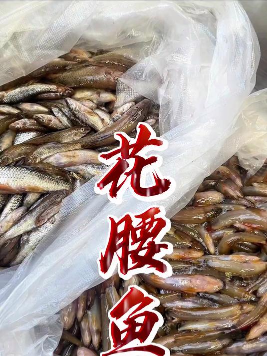 小时候的味道，很少见的花腰鱼（红尾巴鱼）！