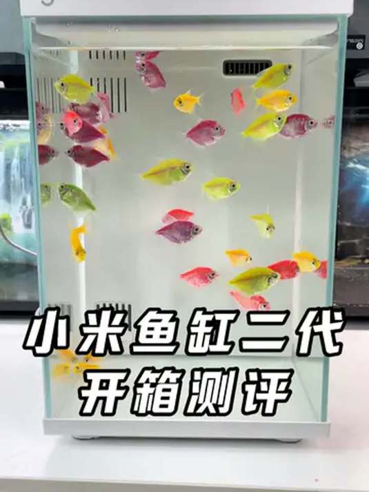 小米鱼缸二代开箱测评 尺寸电源大不同 鱼友必看