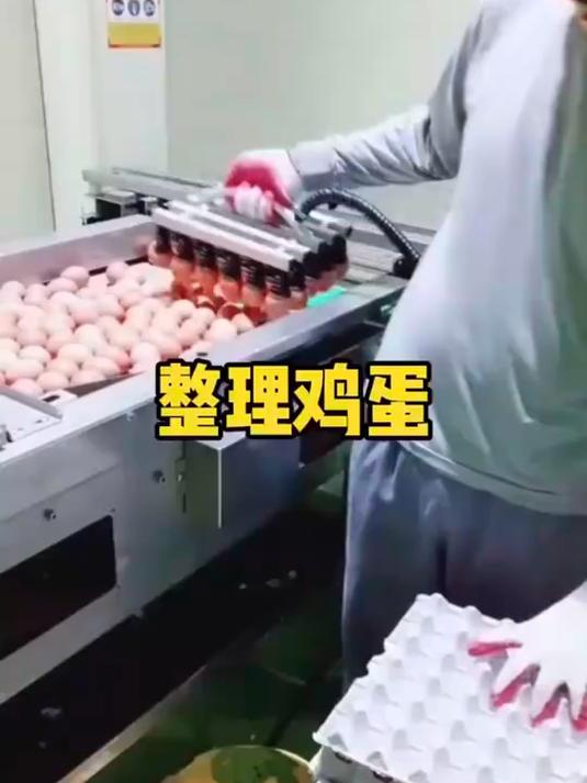 原来我们买的一板板的鸡蛋,都是这样放上去的啊