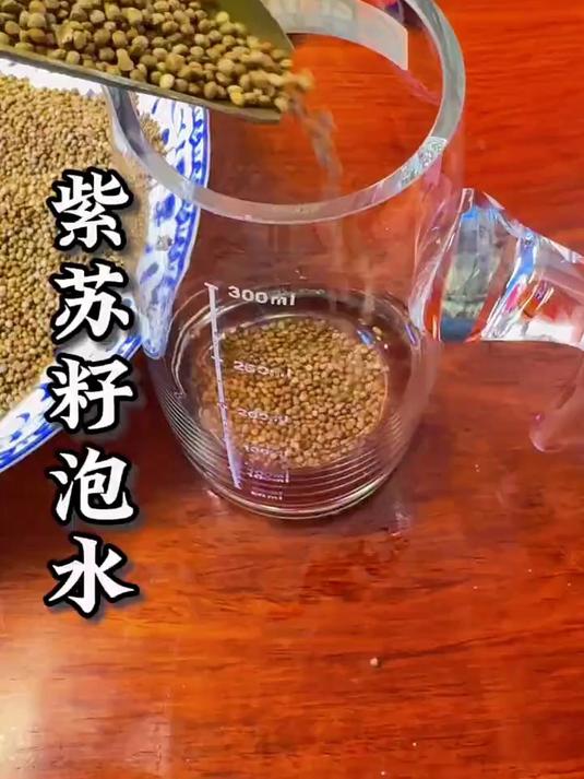 紫苏籽泡水