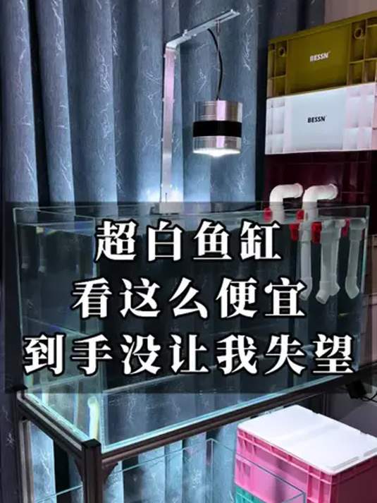 80x40x40cm 金晶五线鱼缸 低价入手 超满意!