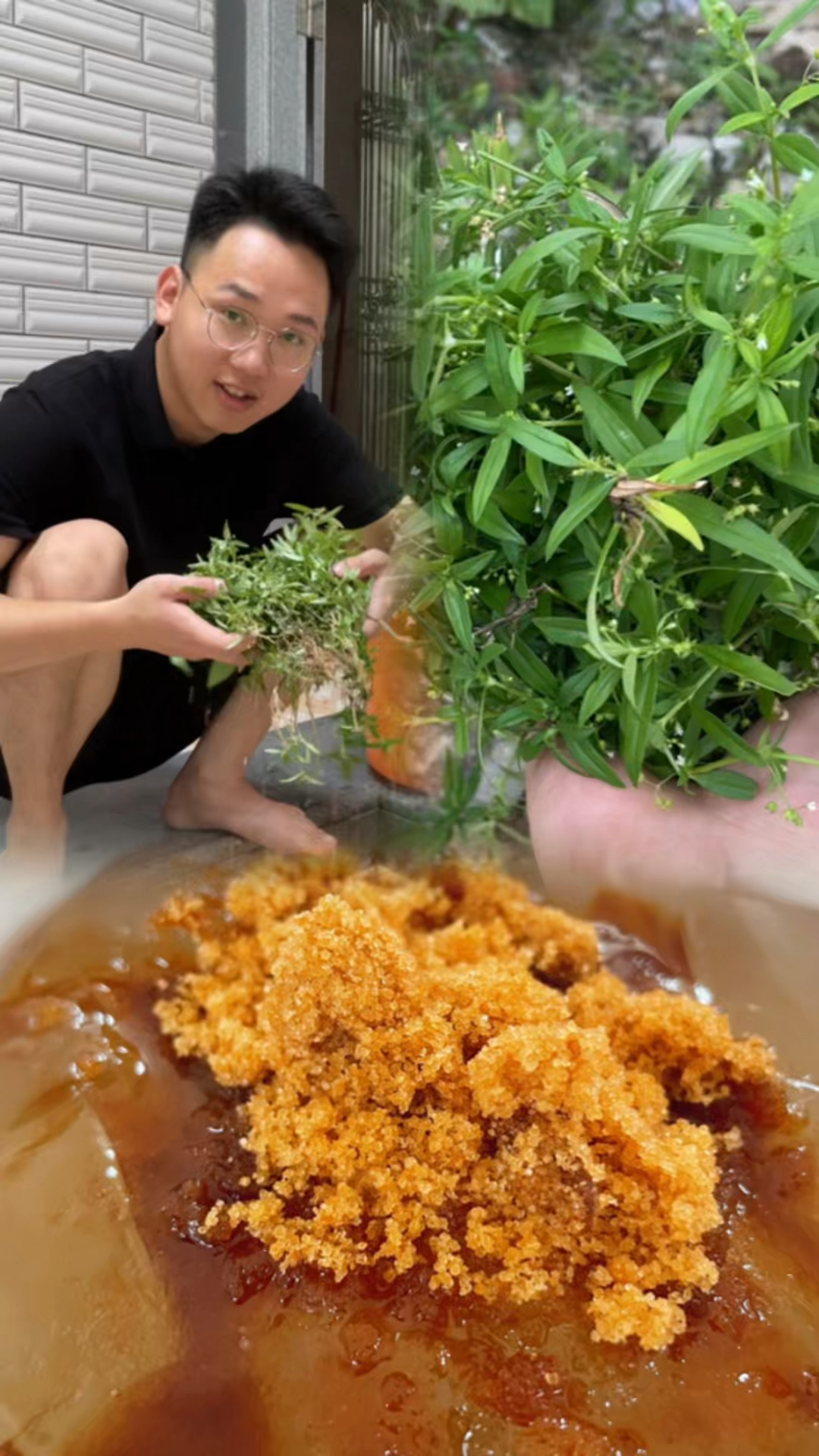 在家门口摘点蛇舌草做成冰粉,清热解毒适合三伏天的解暑神器