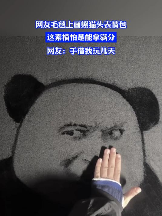 网友毛毯上画熊猫头表情包,这素描怕是能拿满分