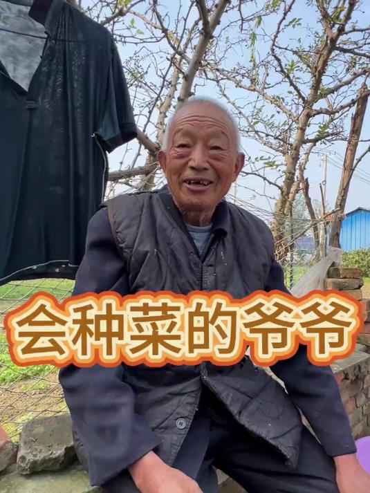 会种菜的爷爷#记录生活#
