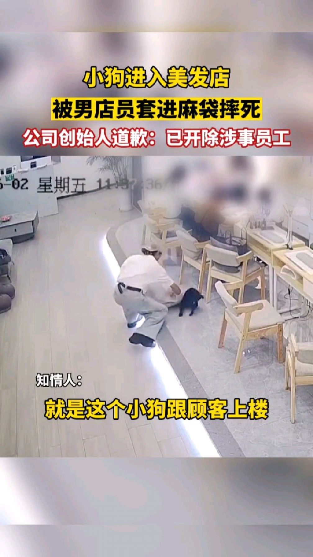 小狗进入理发店,女店员开玩笑说想吃狗肉火锅之后被男店员装进袋子摔死,全程冷血残忍