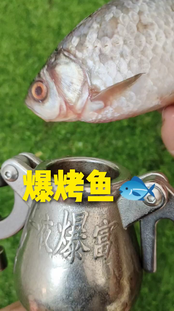 爆烤红烧鱼,味道绝了
