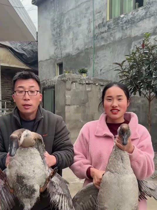 贵州04年女生，远嫁河南84年老公，今天逮两只鹅，做一个铁锅炖大鹅！#真实生活##铁锅炖大