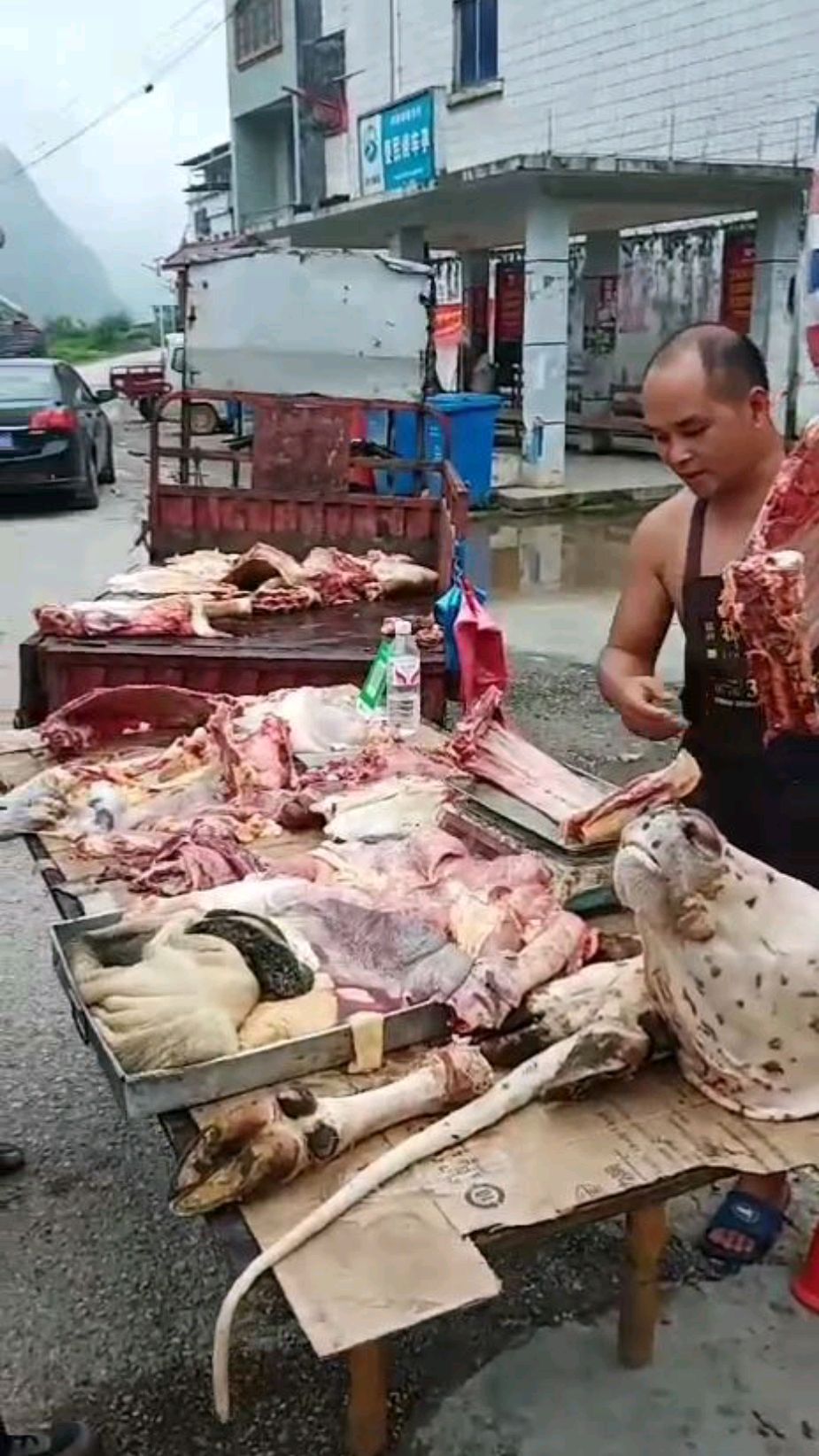 正宗黄牛肉