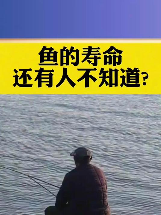 鱼的寿命，还有人不知道吗