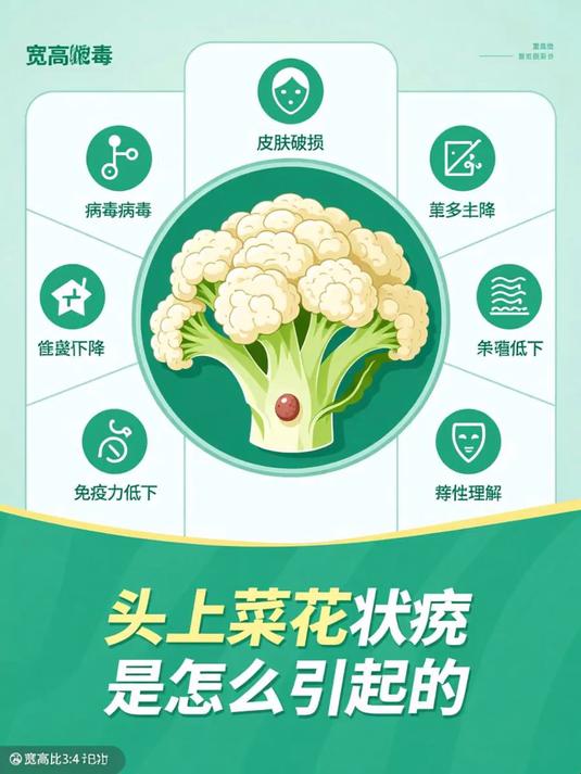 头上菜花状疣是怎么引起的