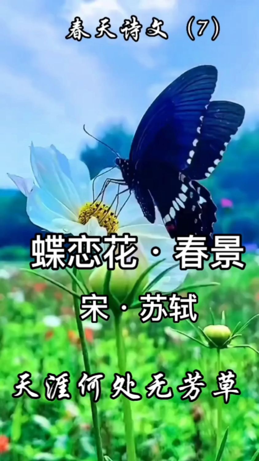 《蝶恋花·春景》苏轼的伤春之作,情景交融,哀婉动人!