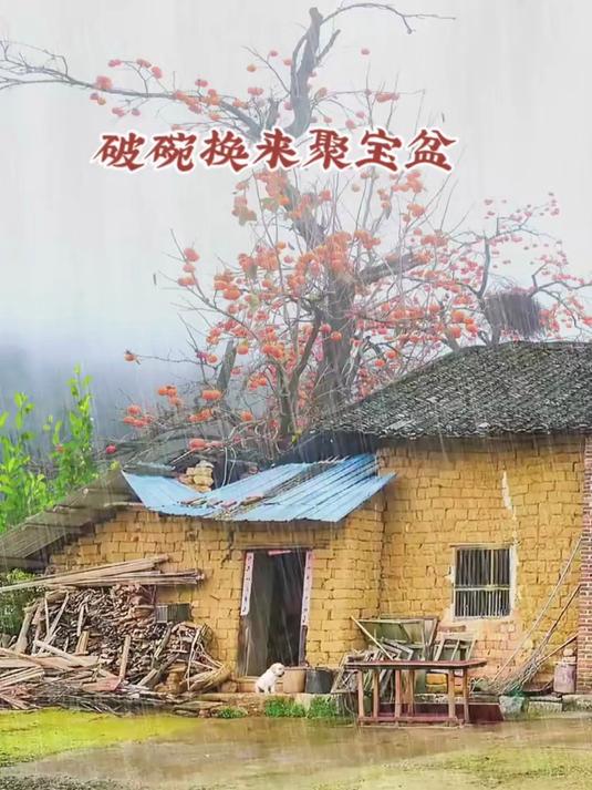 破碗换来聚宝盆