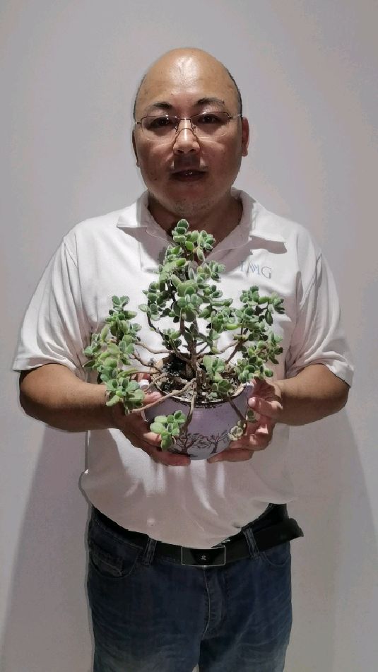 我养的多肉植物-熊童子,不仅花好看,连花盆都这么好看