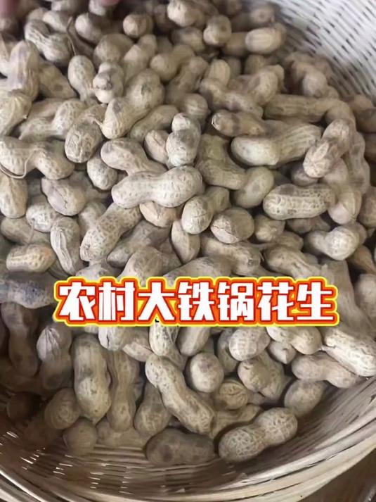 柴火炒花生！农村大铁锅现炒，原味带壳小花生越嚼越香