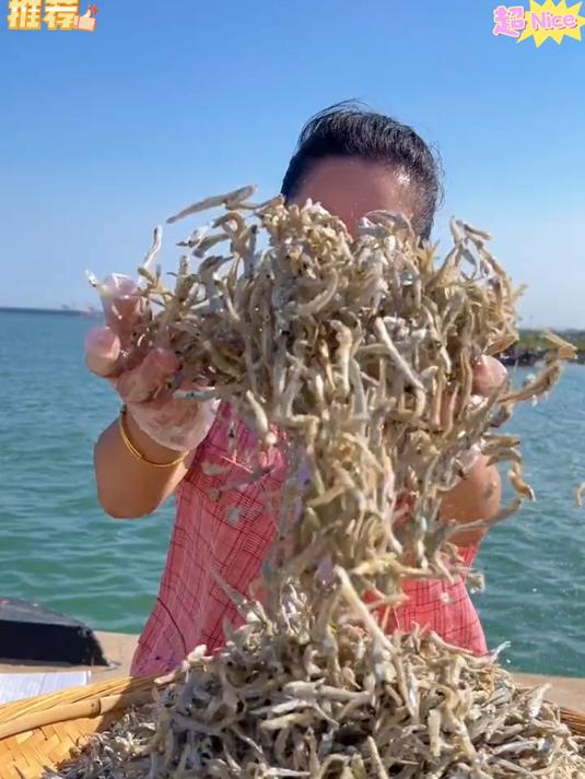 海燕鱼干没有泥沙不腥不苦也不咸油炸爆炒很香